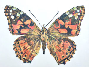 Britta Goldmann | Painting | Chico ART Festival | Chico Area Artists