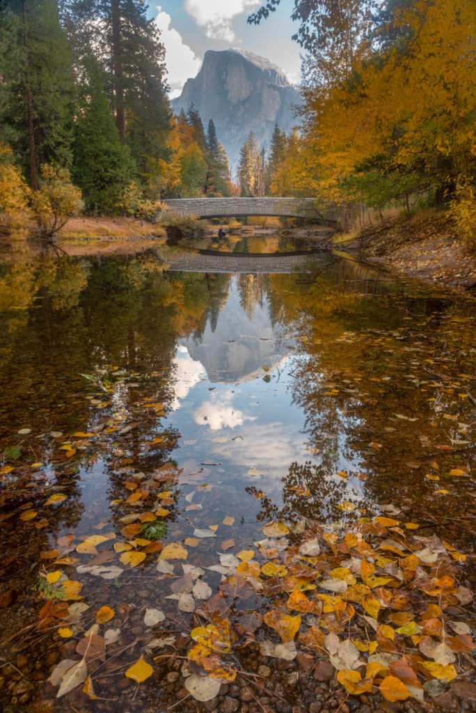 Darren Marshall | Photography | Chico ART Festival | Chico Area Artists