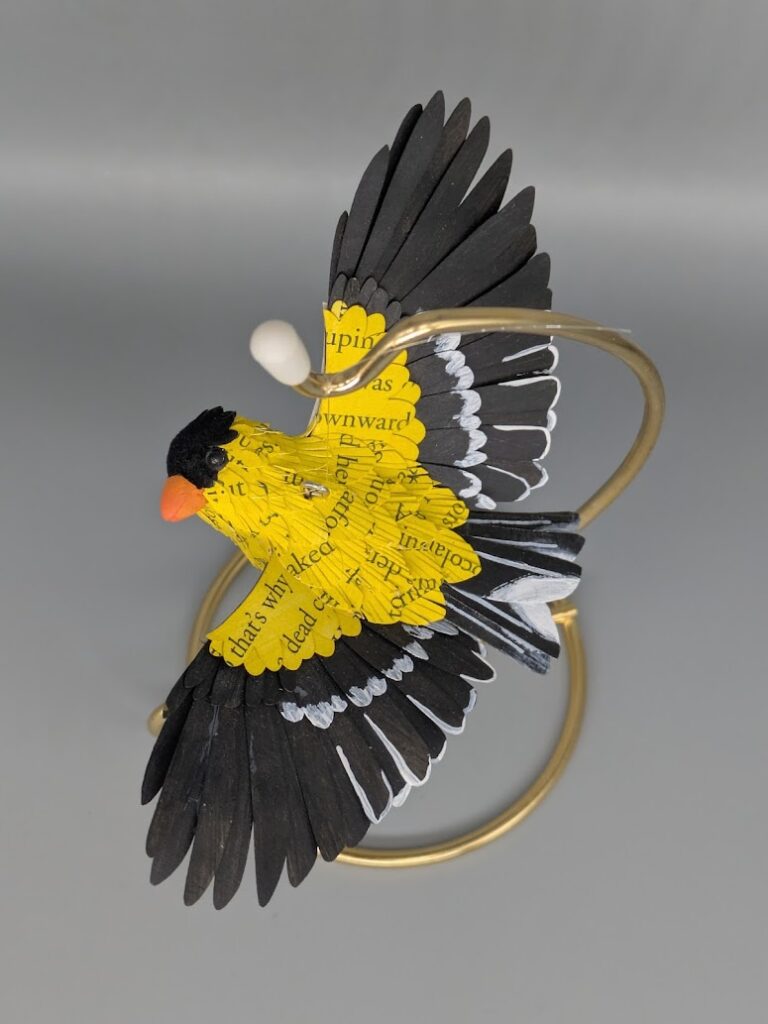 Christian Davila | Nonbirdnary | Paper Mix Media | Chico ART Festival | Finding Chico Artists