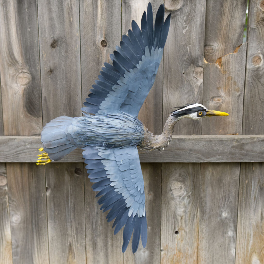 Christian Davila | Nonbirdnary | Paper Mix Media | Chico ART Festival | Finding Chico Artists