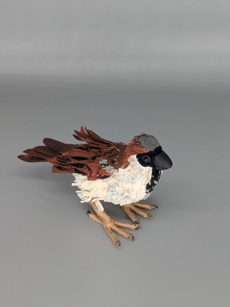 Christian Davila | Nonbirdnary | Paper Mix Media | Chico ART Festival | Finding Chico Artists