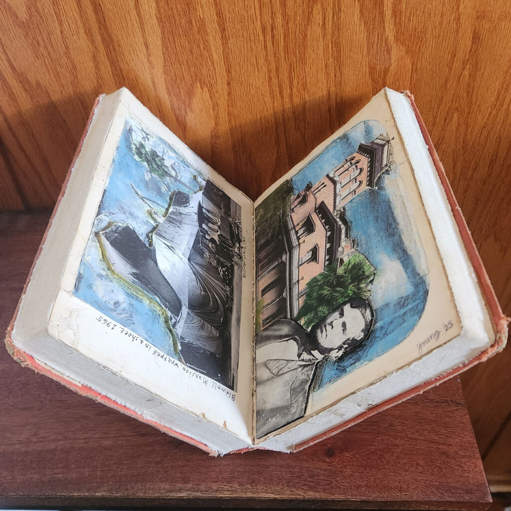 Thomas Young | Collage, Mixed Media | Chico ART Festival | Finding Chico Artists